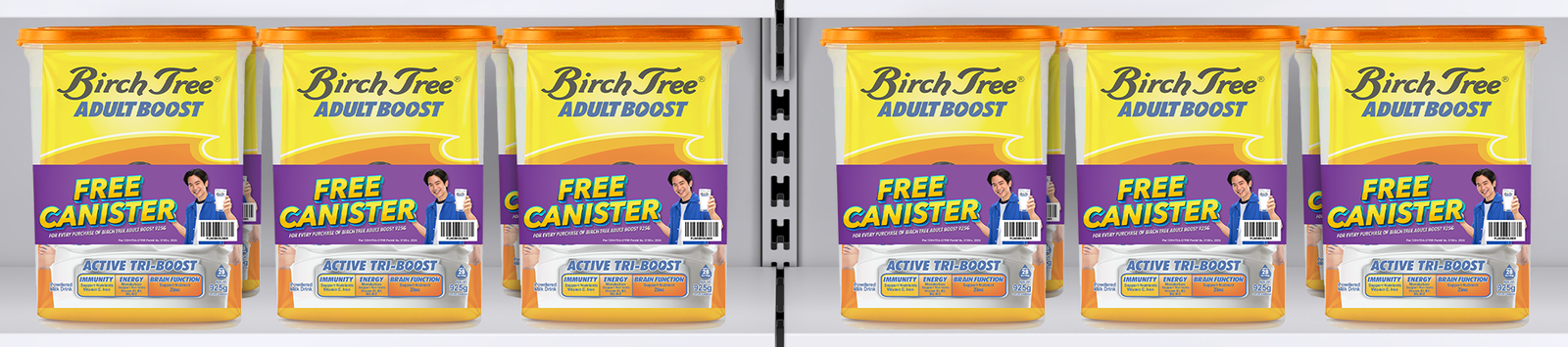 Birch Tree Adult Boost digital advertising campaign and marketing collateral design by Kezia Braña