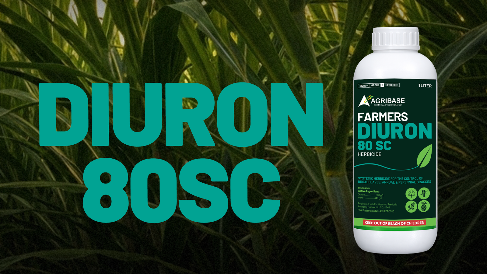Diuron herbicide product packaging design for Agribase Chemicals Incorporated by Kezia Braña