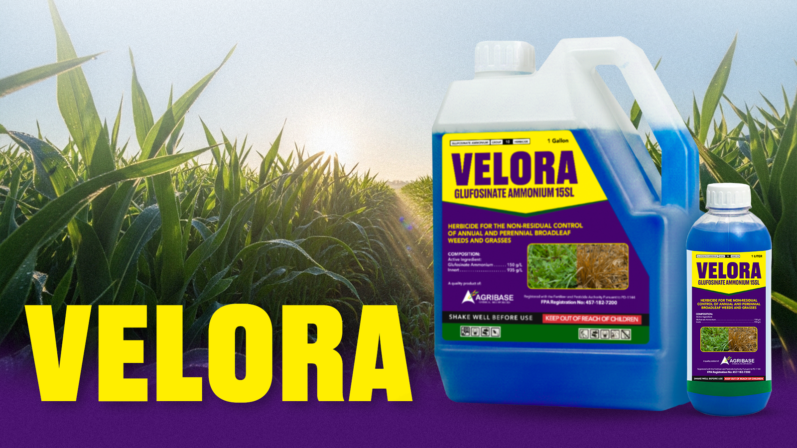 Velora Glufosinate Ammonium 15SL product packaging design for Agribase Chemicals Incorporated by Kezia Braña